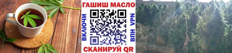 продажа наркотиков  Малгобек  Cannafood конопля 