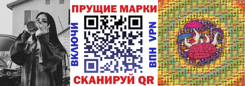 это наркотические препараты  блэк спрут маркетплейс  Малгобек  Наркотические марки 1,8мг 