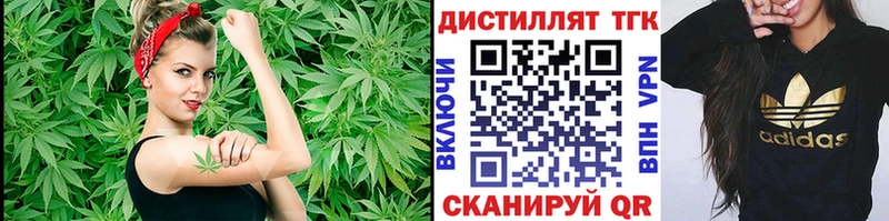 Дистиллят ТГК THC oil  где можно купить   Малгобек 