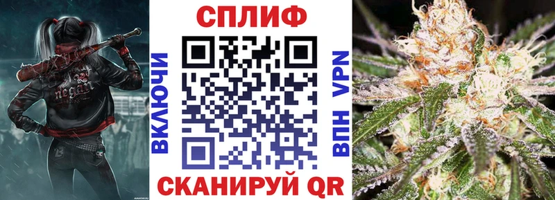 Шишки марихуана конопля купить сайты Малгобек